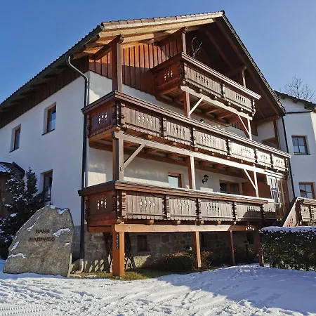 Ferienhaus-haidweg-wohnung-1 Apartment Haidmuhle
